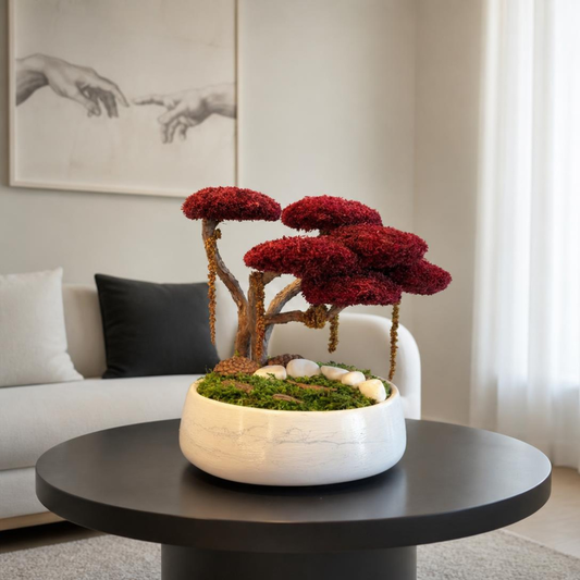 Red Bonsai