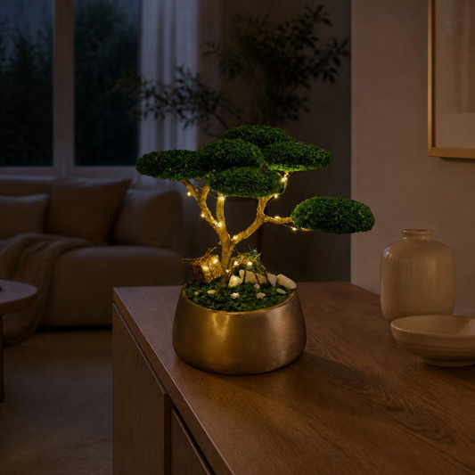 Christmas Bonsai