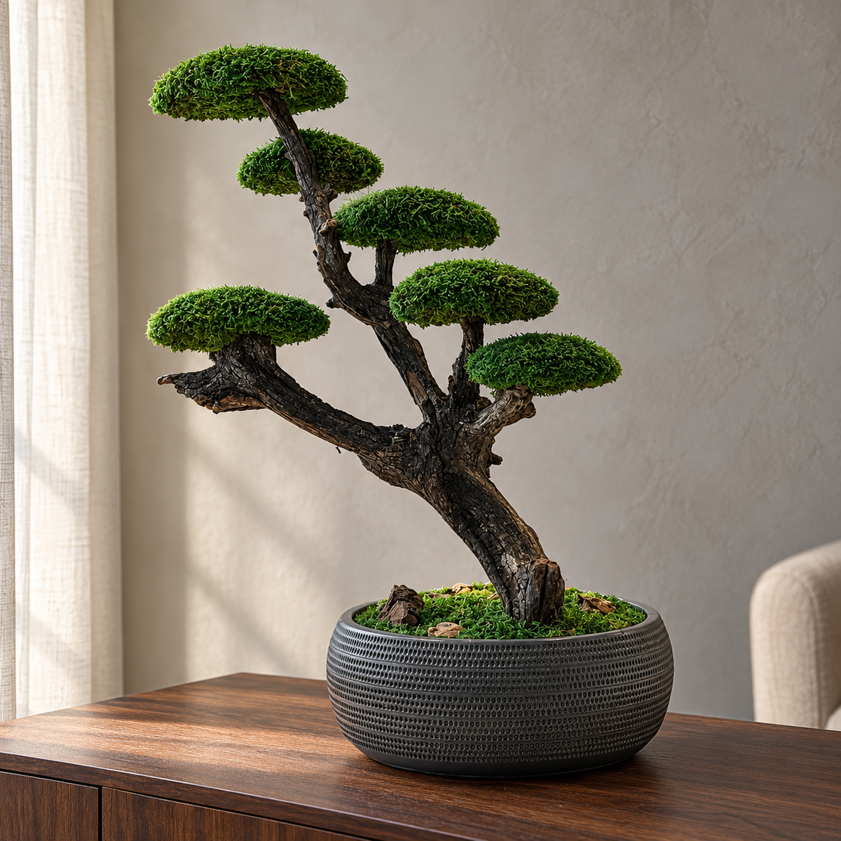 Dora Bonsai