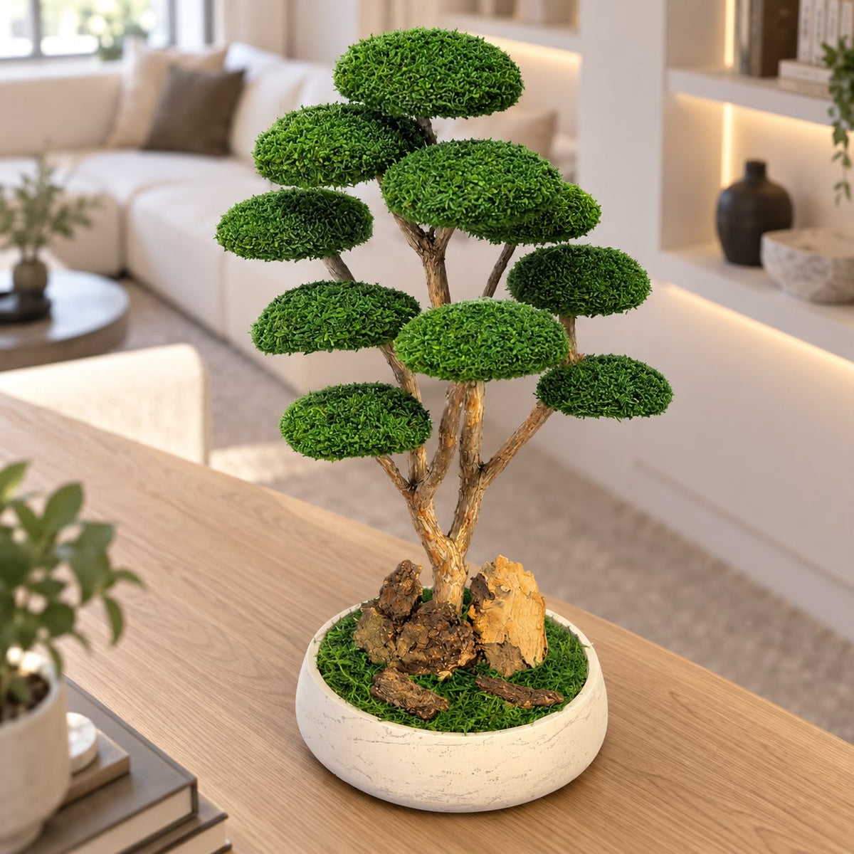 Rei Bonsai