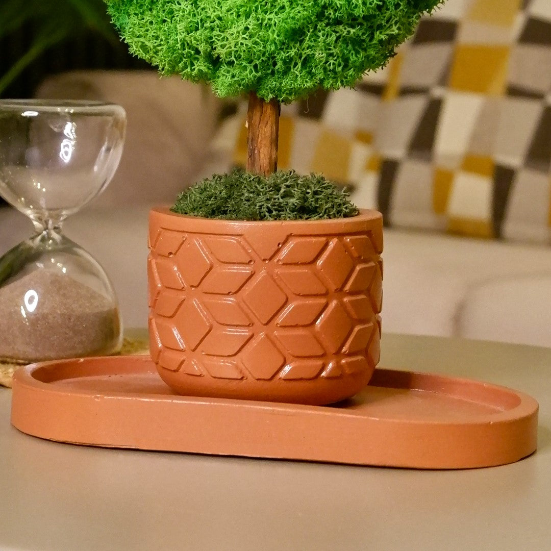 Mini Kalp Moss Ağaç - Yeşil