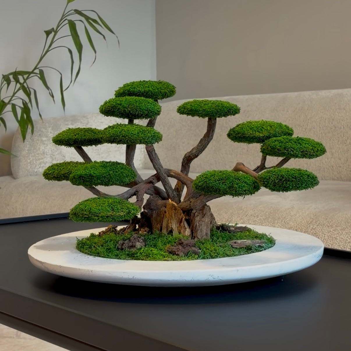 zen