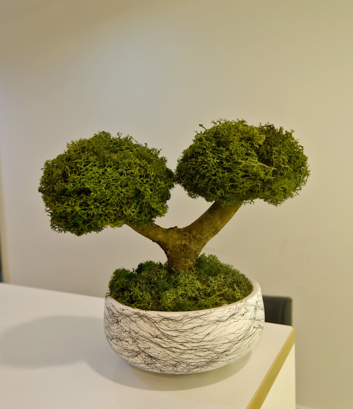 Osaka Bonsai