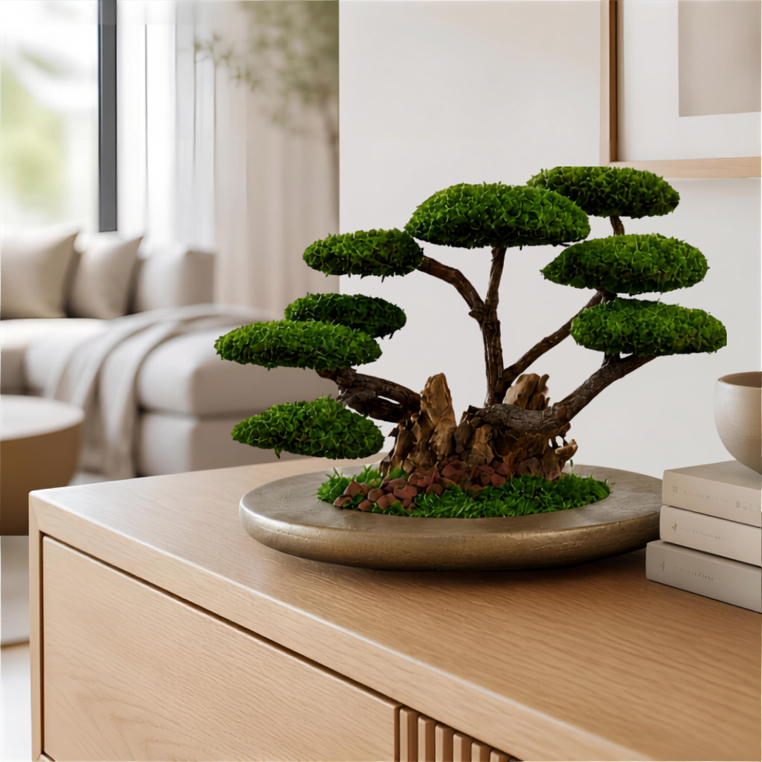 Olia Bonsai