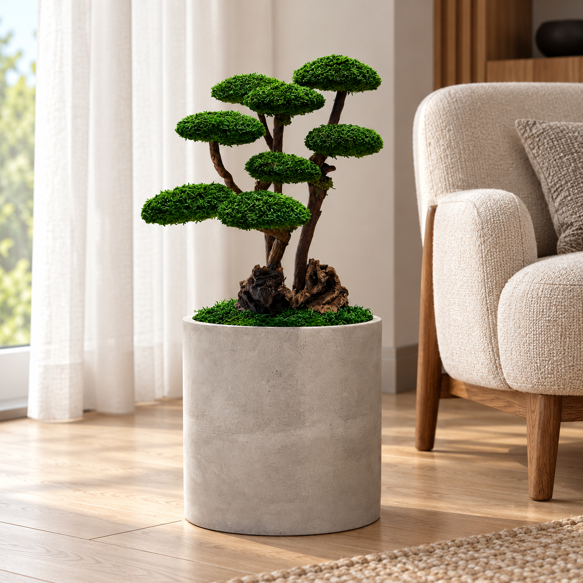 Roma Bonsai