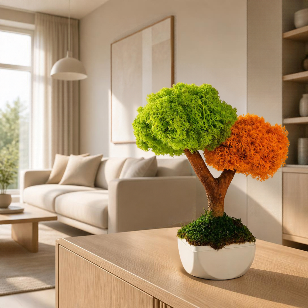 Duo Bonsai Moss Ağaç