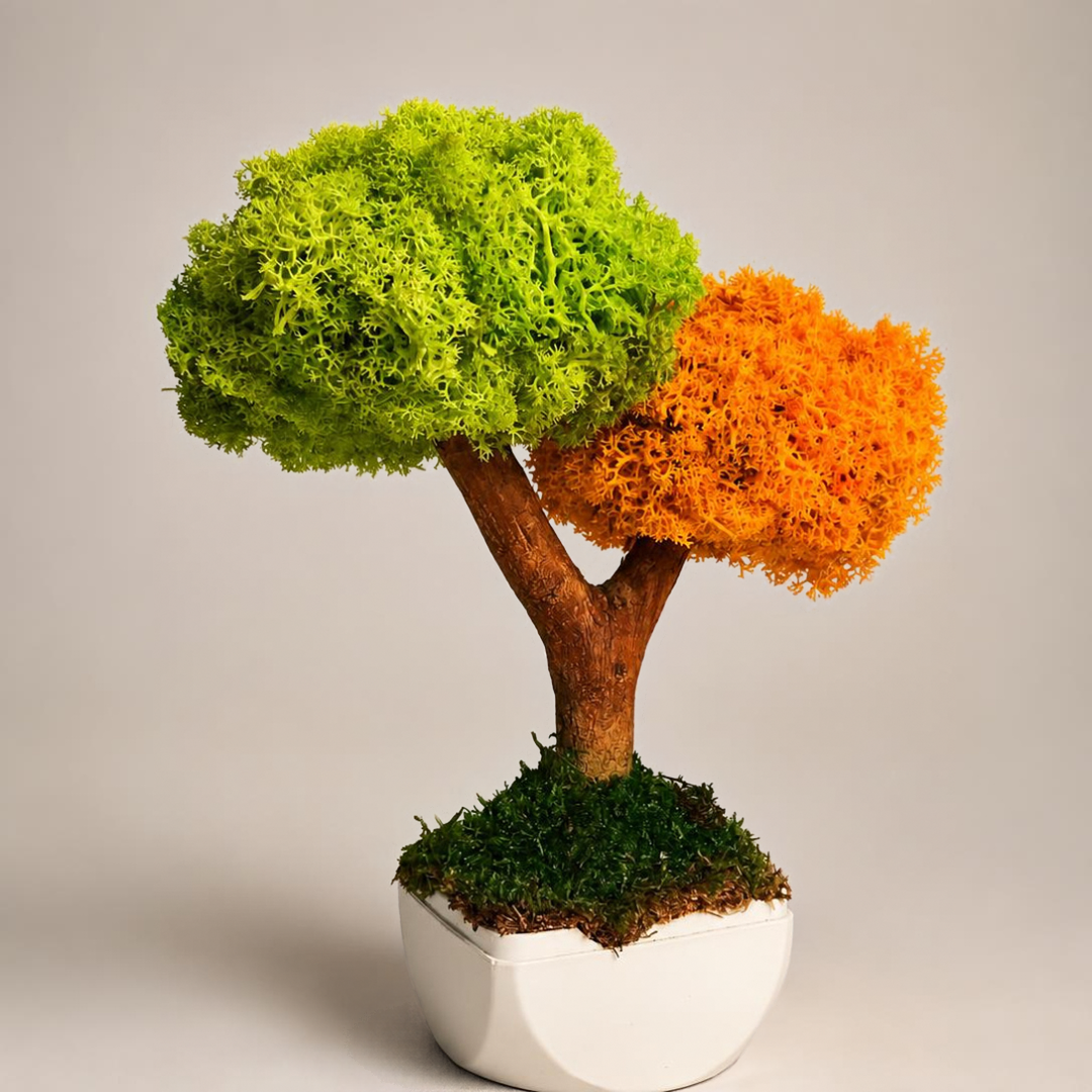 Duo Bonsai Moss Ağaç