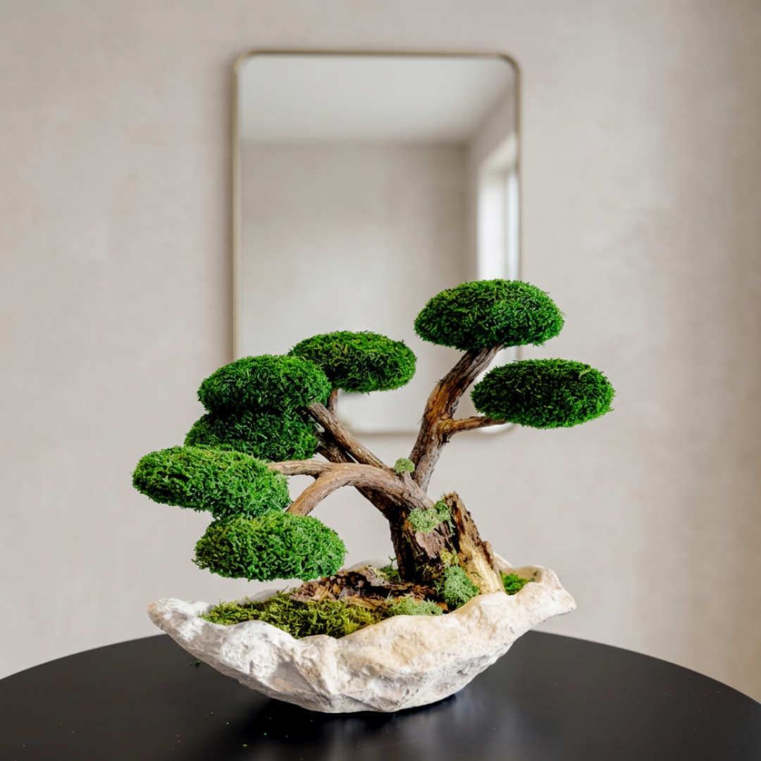 Terra Bonsai