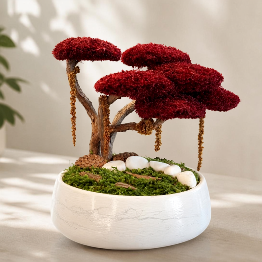 Red Bonsai