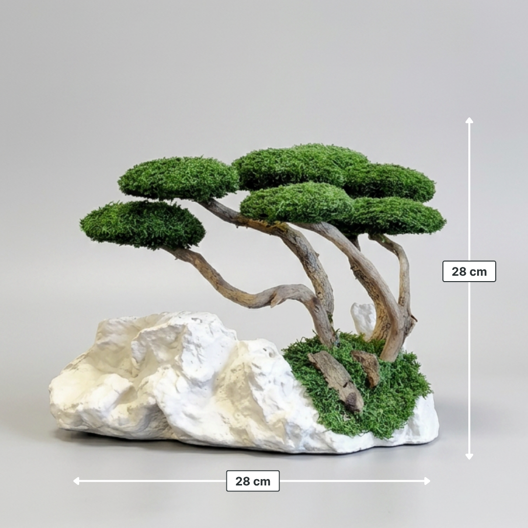Lava Bonsai