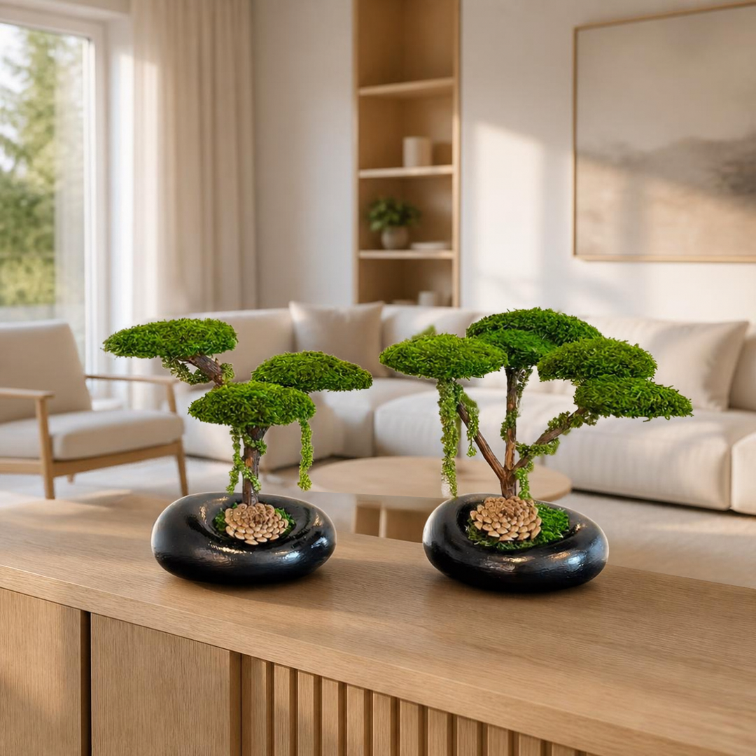 Trio Mini Bonsai - Siyah İkili Set