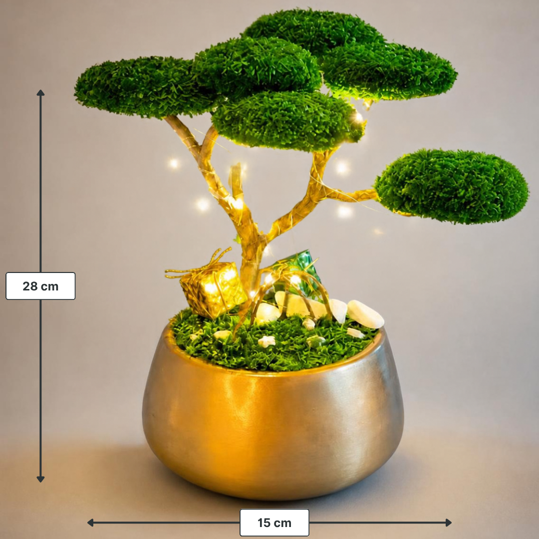 Christmas Bonsai