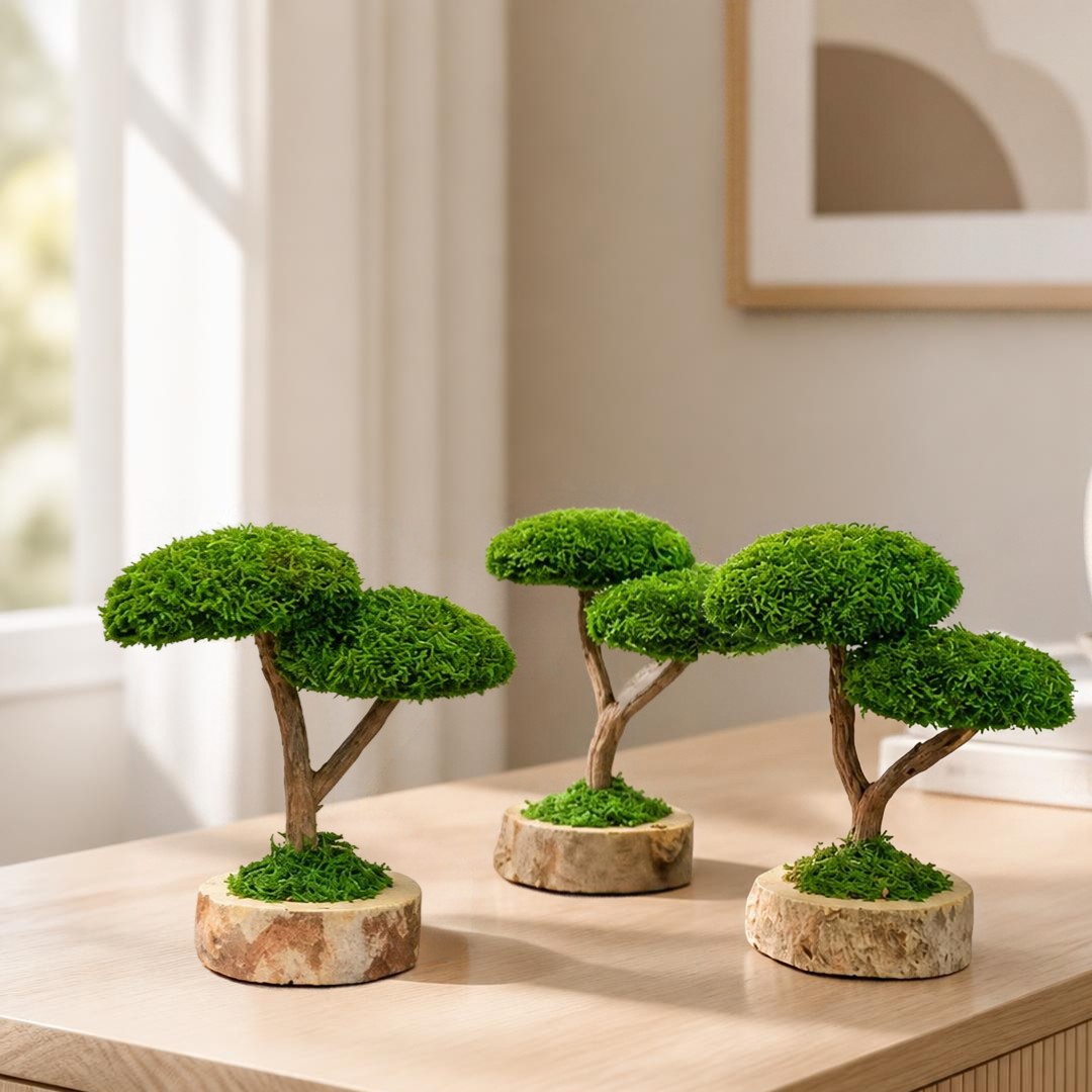 DUO BONSAİ ÜÇLÜ SET