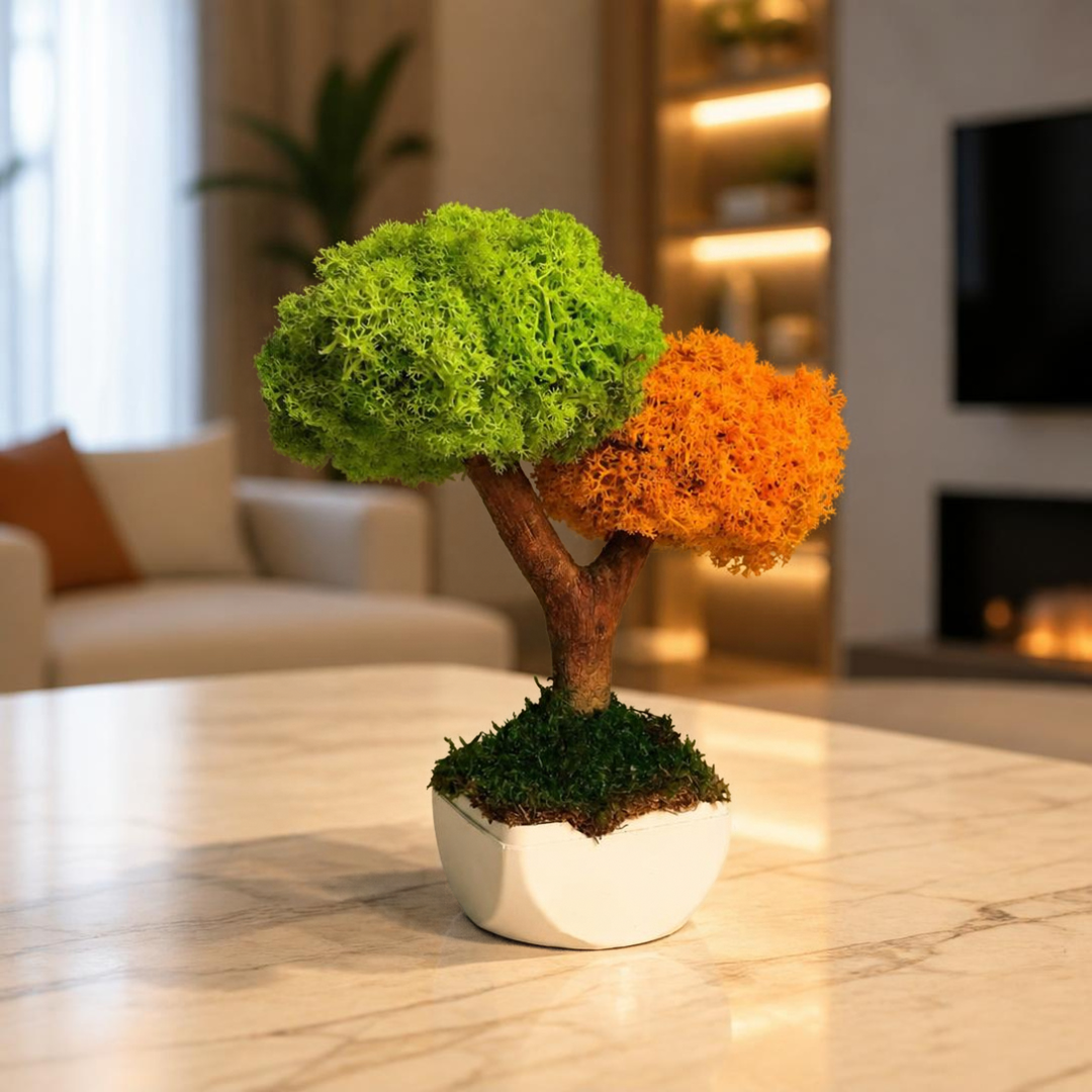 Duo Bonsai Moss Ağaç