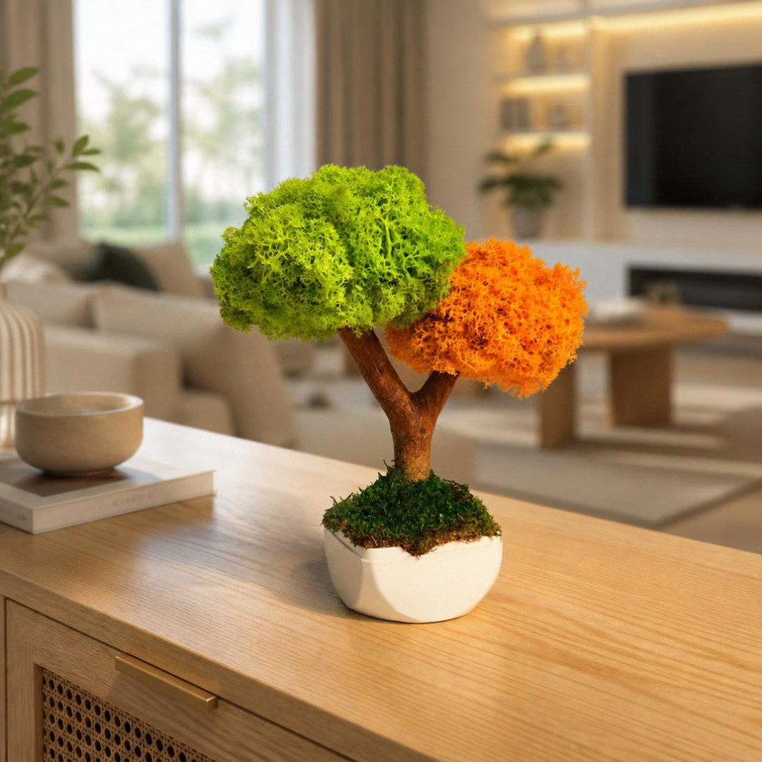 Duo Bonsai Moss Ağaç