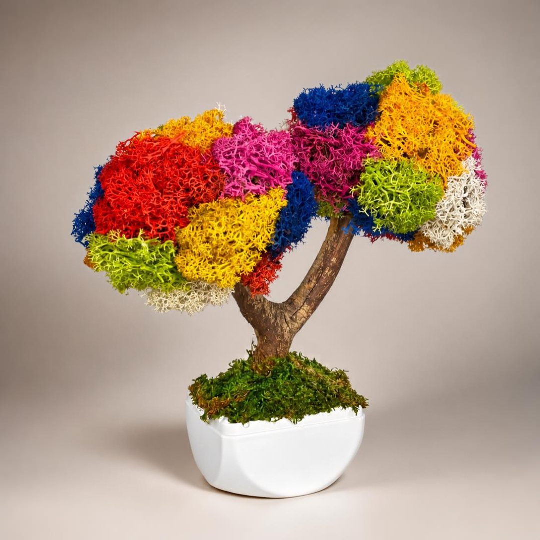 Kolaj Duo Bonsai