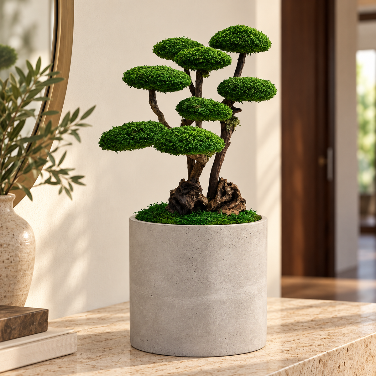 Roma Bonsai