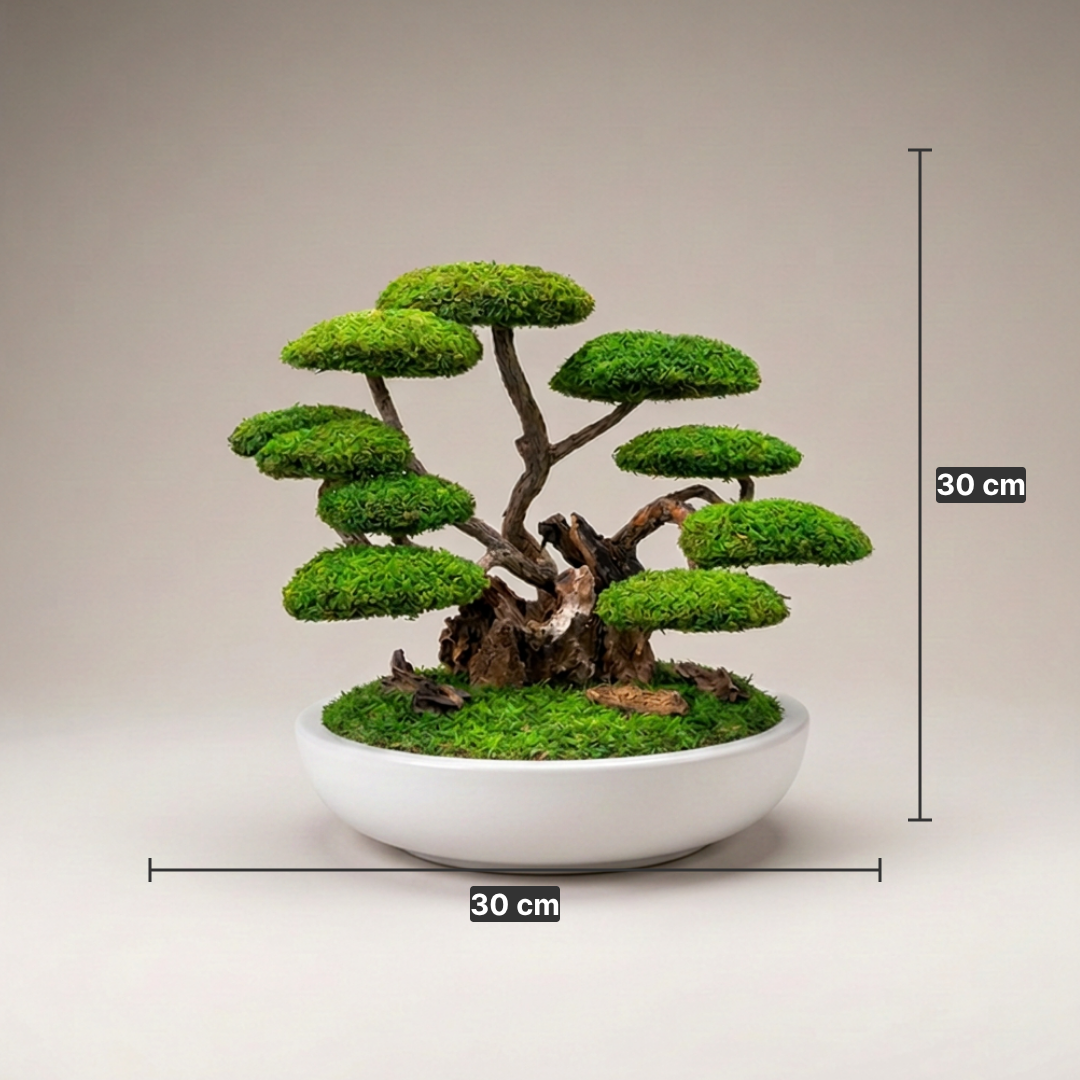 Ren Bonsai - Beyaz Saksı