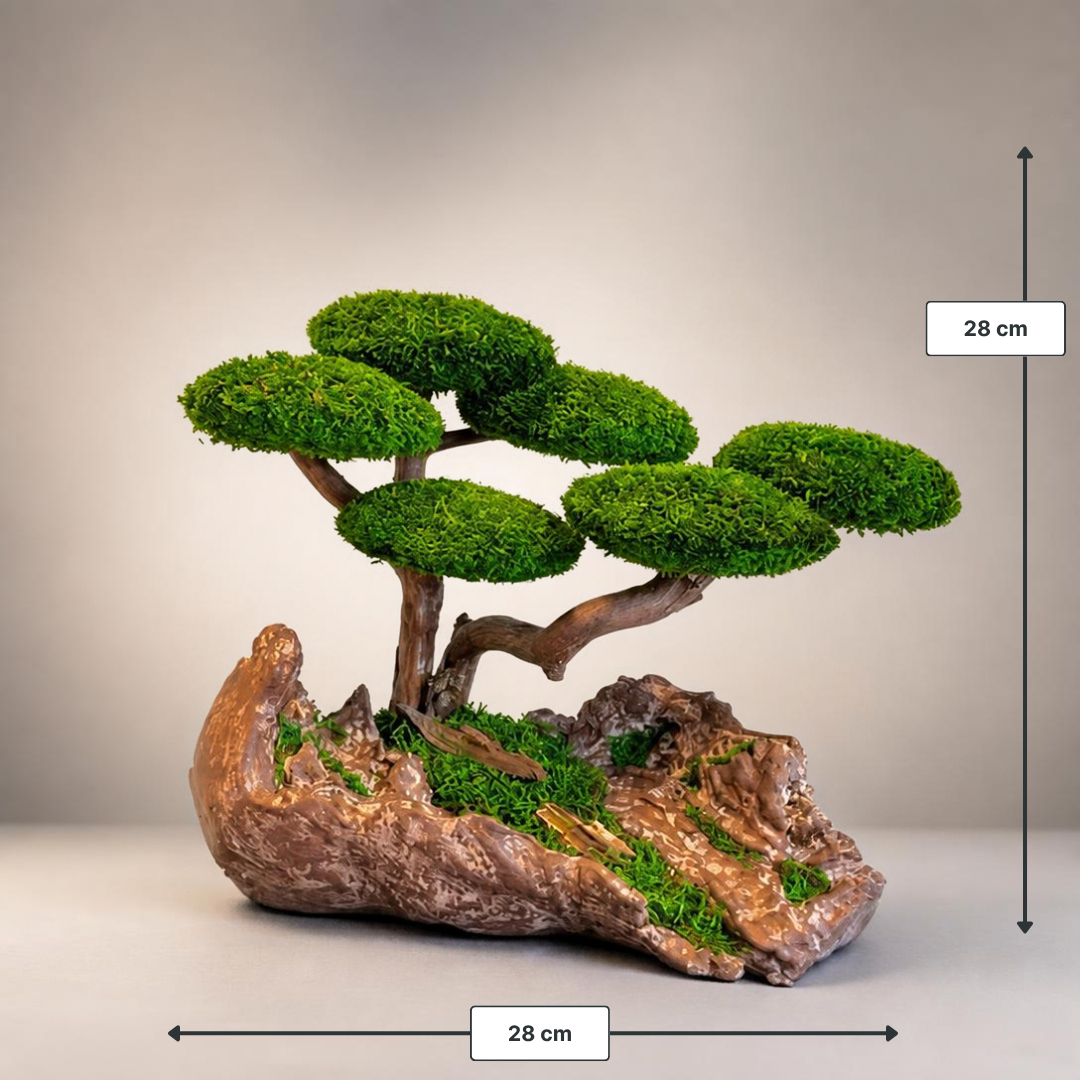Wood Bonsai