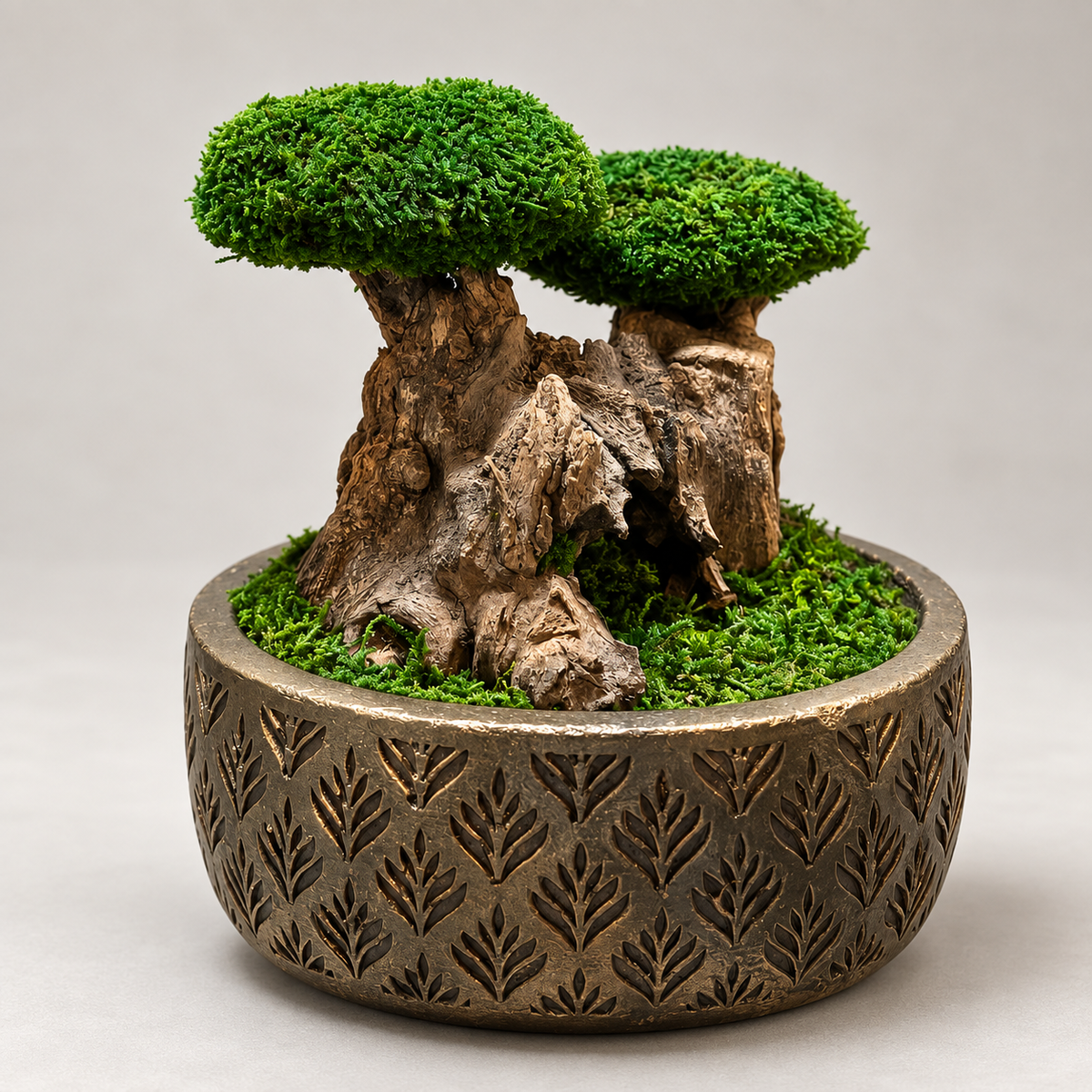 Noir Bonsai