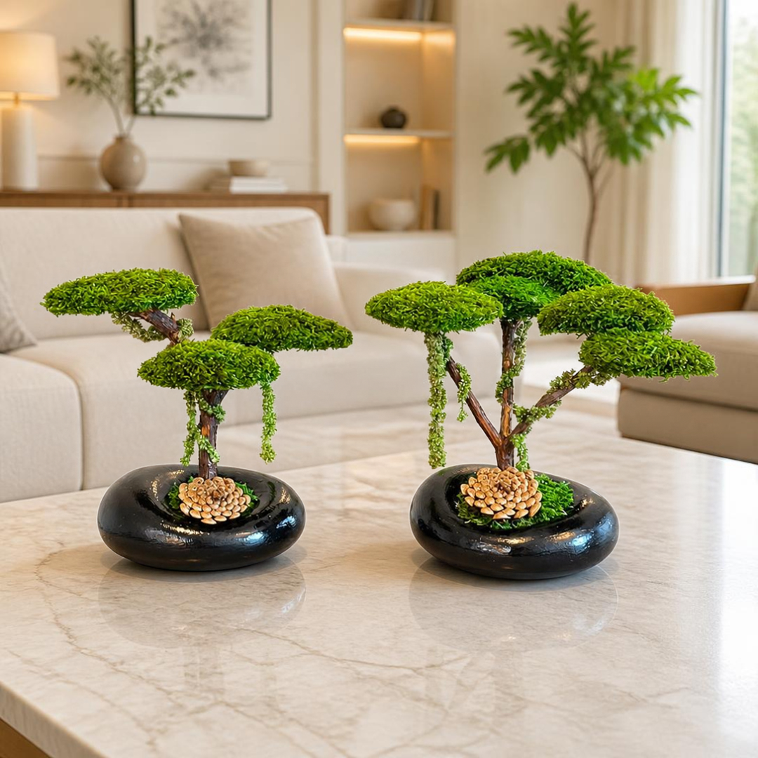 Trio Mini Bonsai - Siyah İkili Set