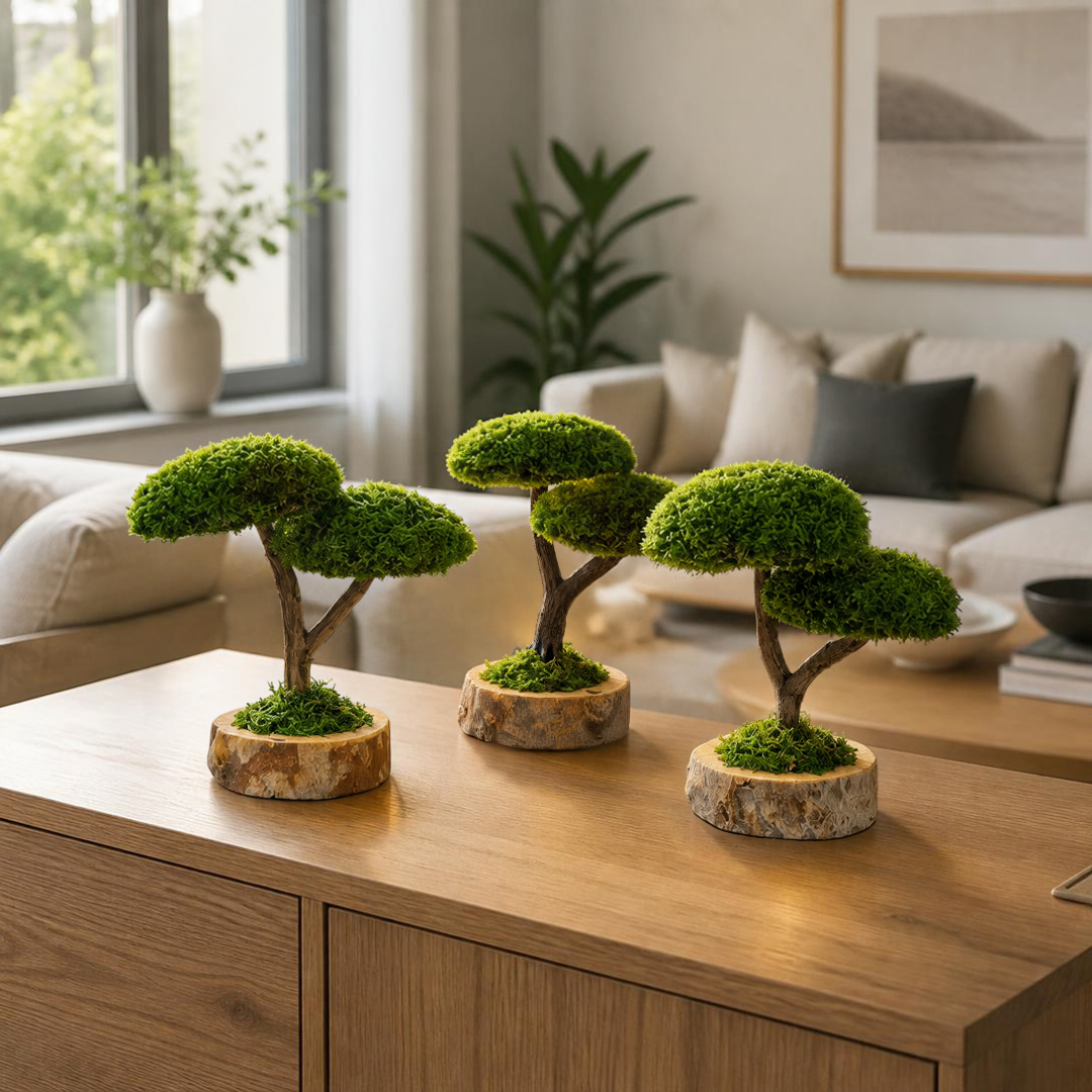 DUO BONSAİ ÜÇLÜ SET
