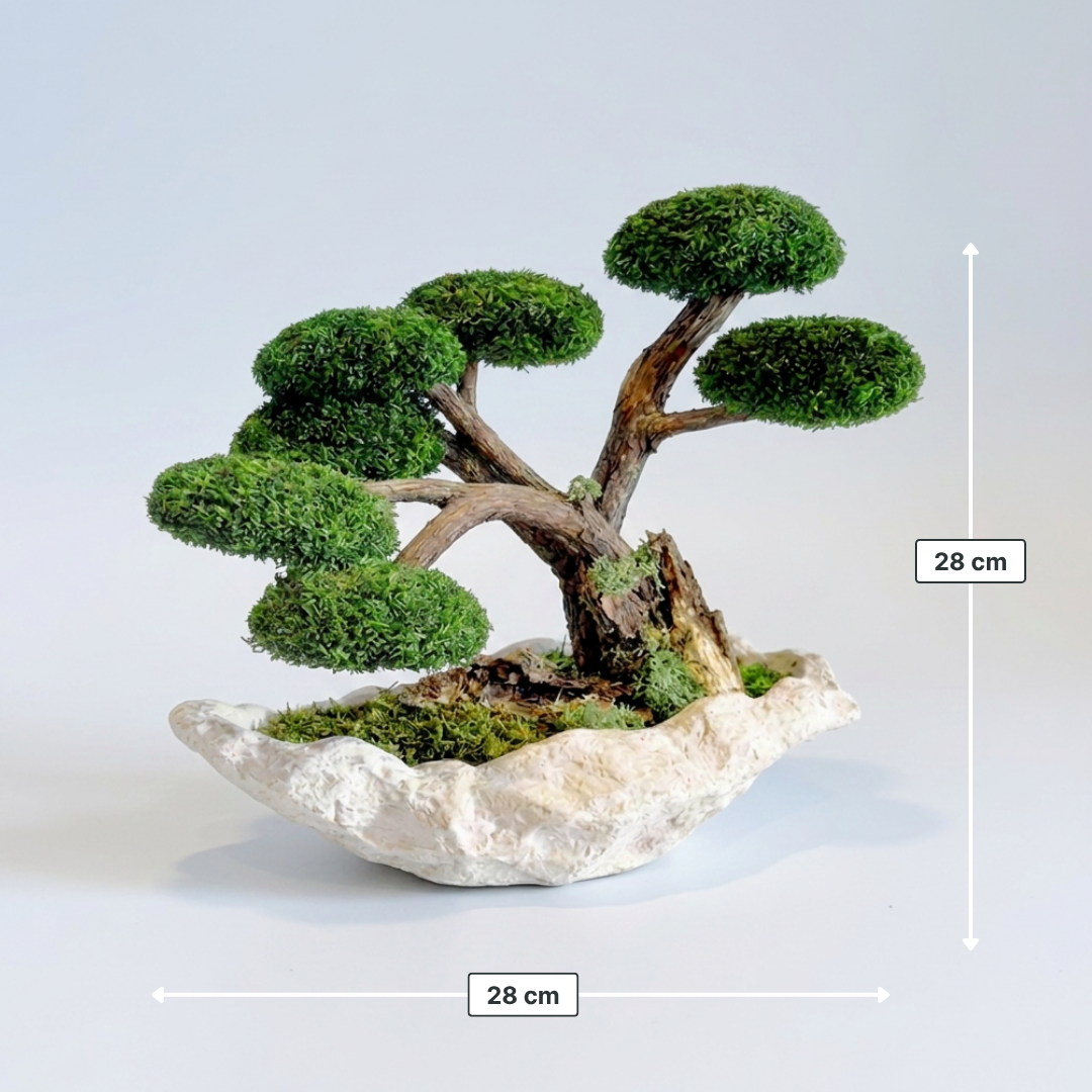 Terra Bonsai