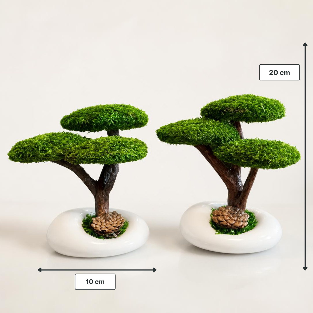 Trio Mini Bonsai - İkili Set
