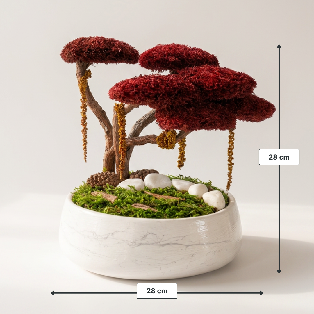 Red Bonsai