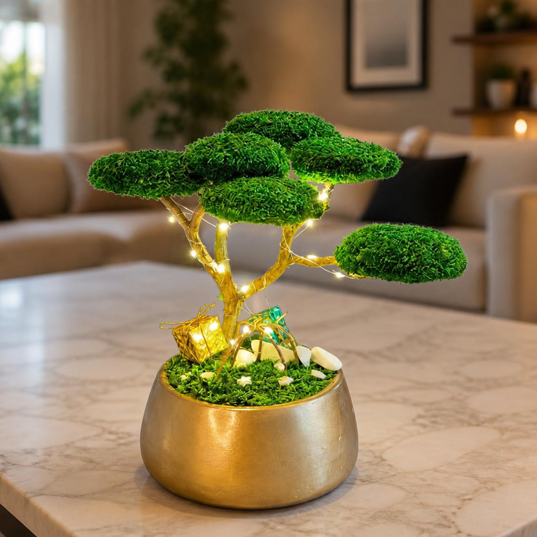 Christmas Bonsai