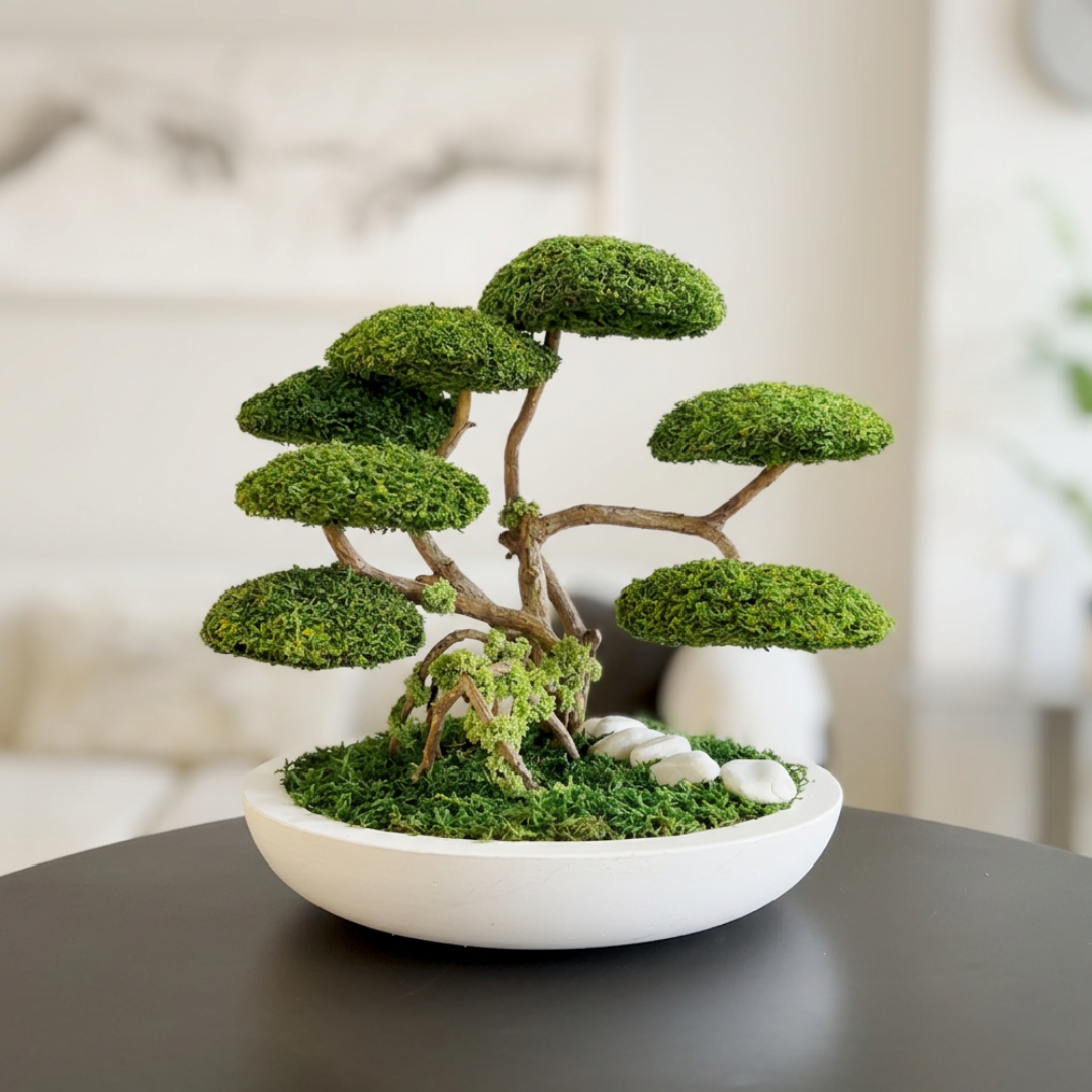 RENİE BONSAİ