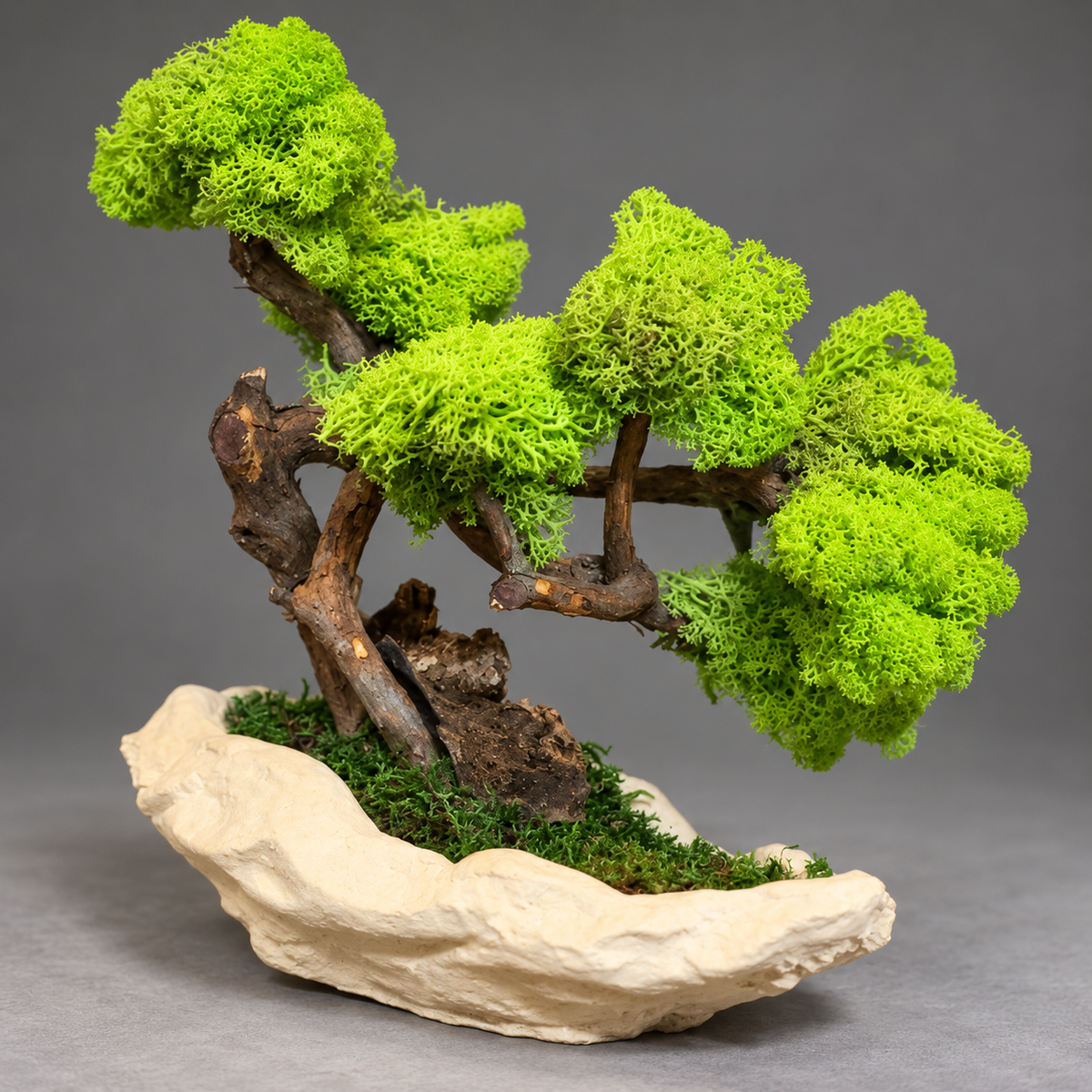 Norway Bonsai
