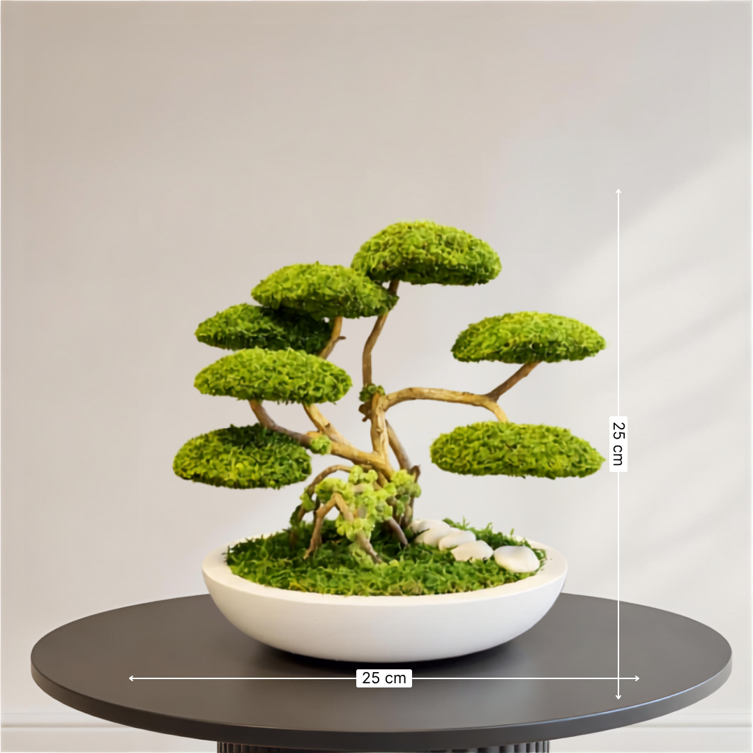 RENİE BONSAİ