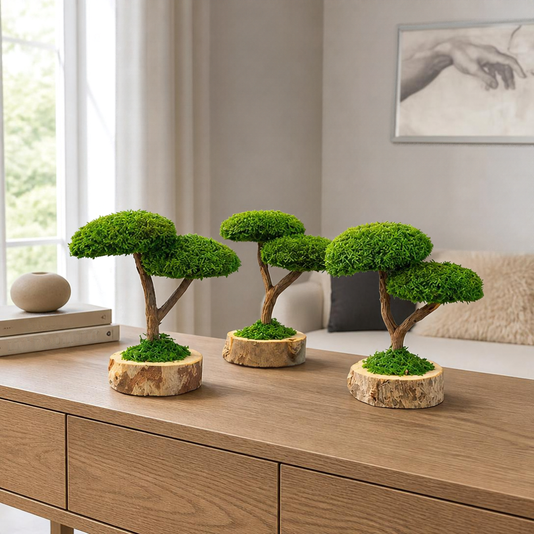 DUO BONSAİ ÜÇLÜ SET