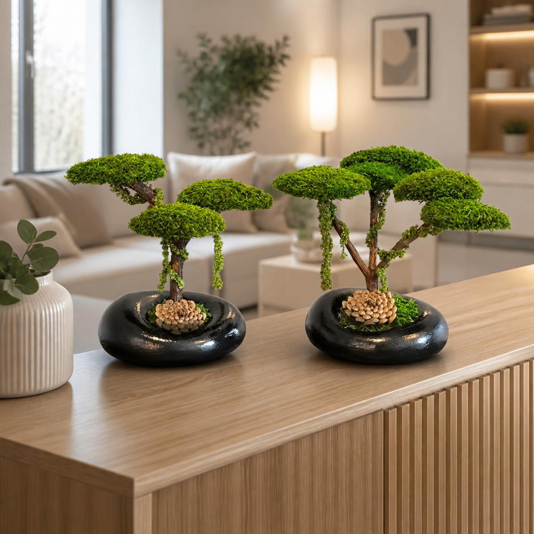 Trio Mini Bonsai - Siyah İkili Set