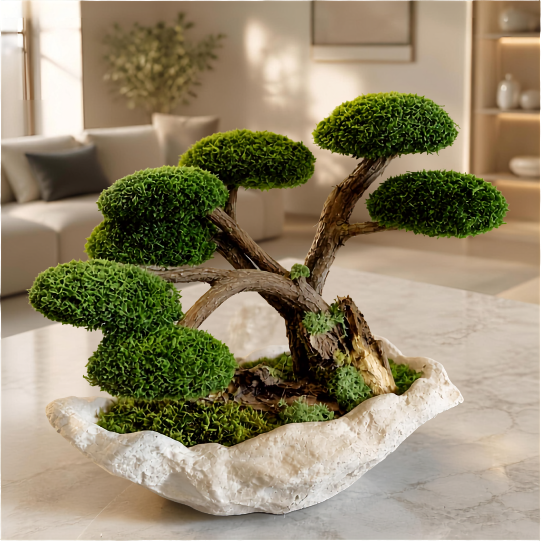 Terra Bonsai