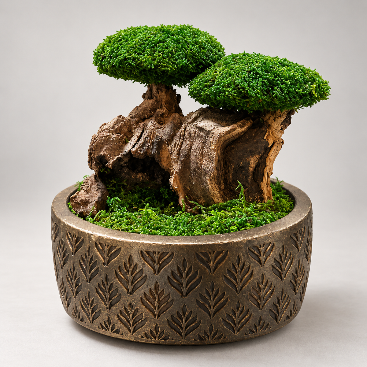 Noir Bonsai