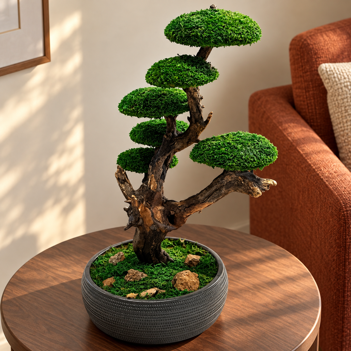 Dora Bonsai