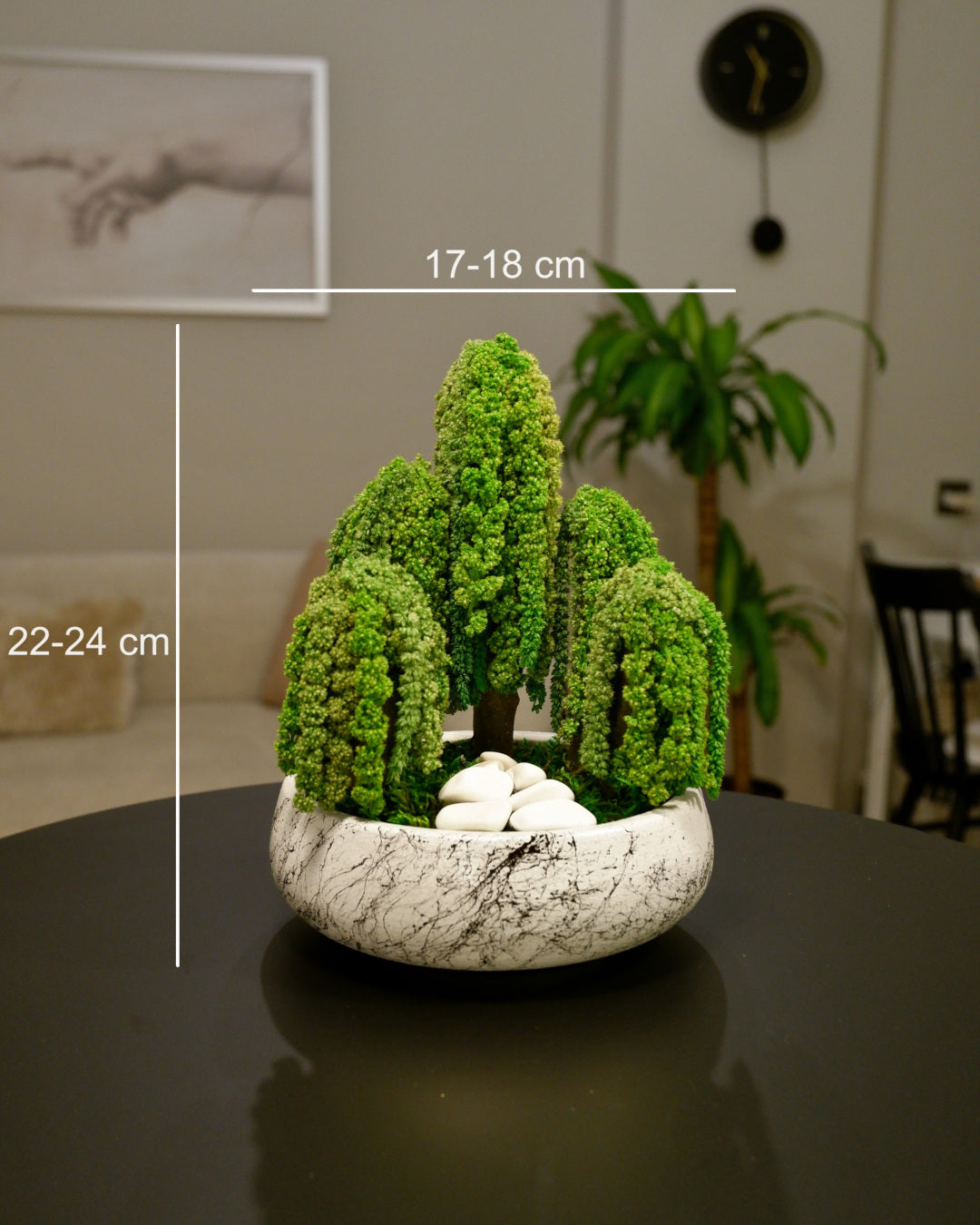 Penta Amaranthus Bonsai