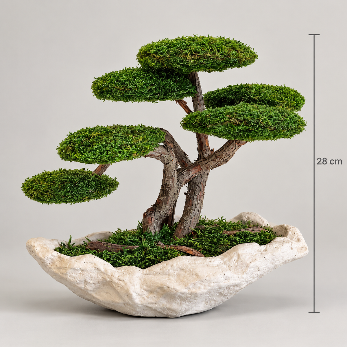Bohem Bonsai