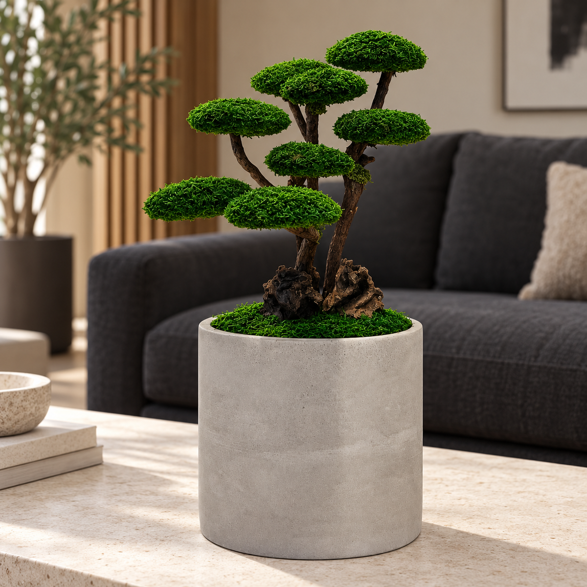 Roma Bonsai