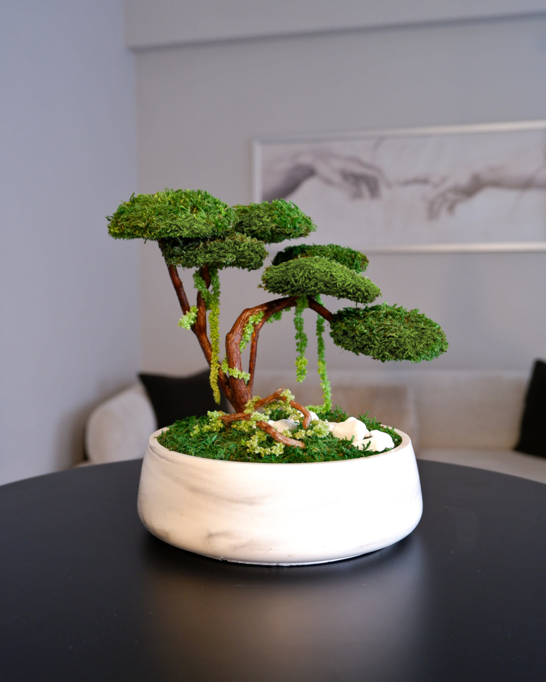 Flat Bonsai
