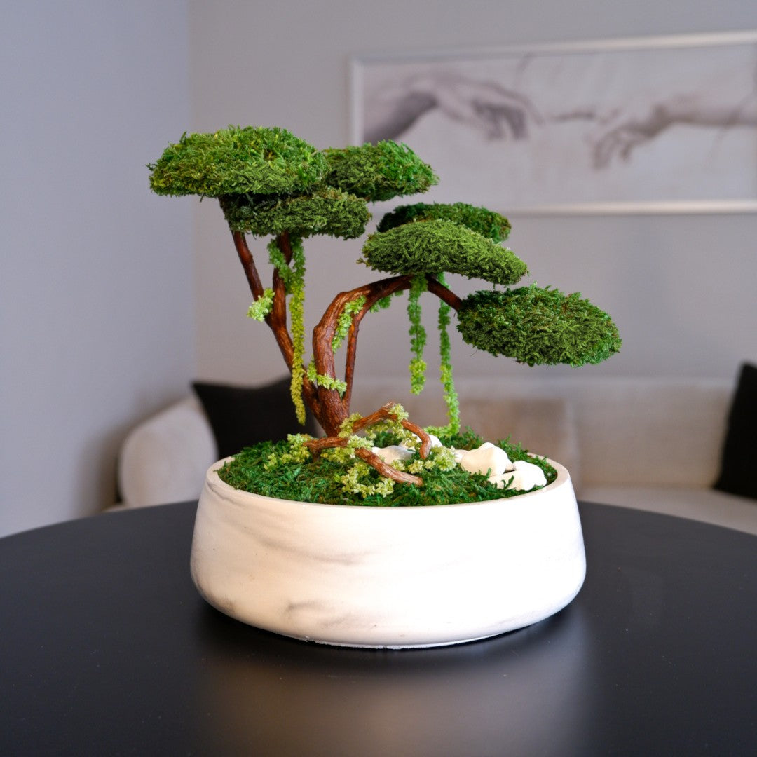 Flat Bonsai