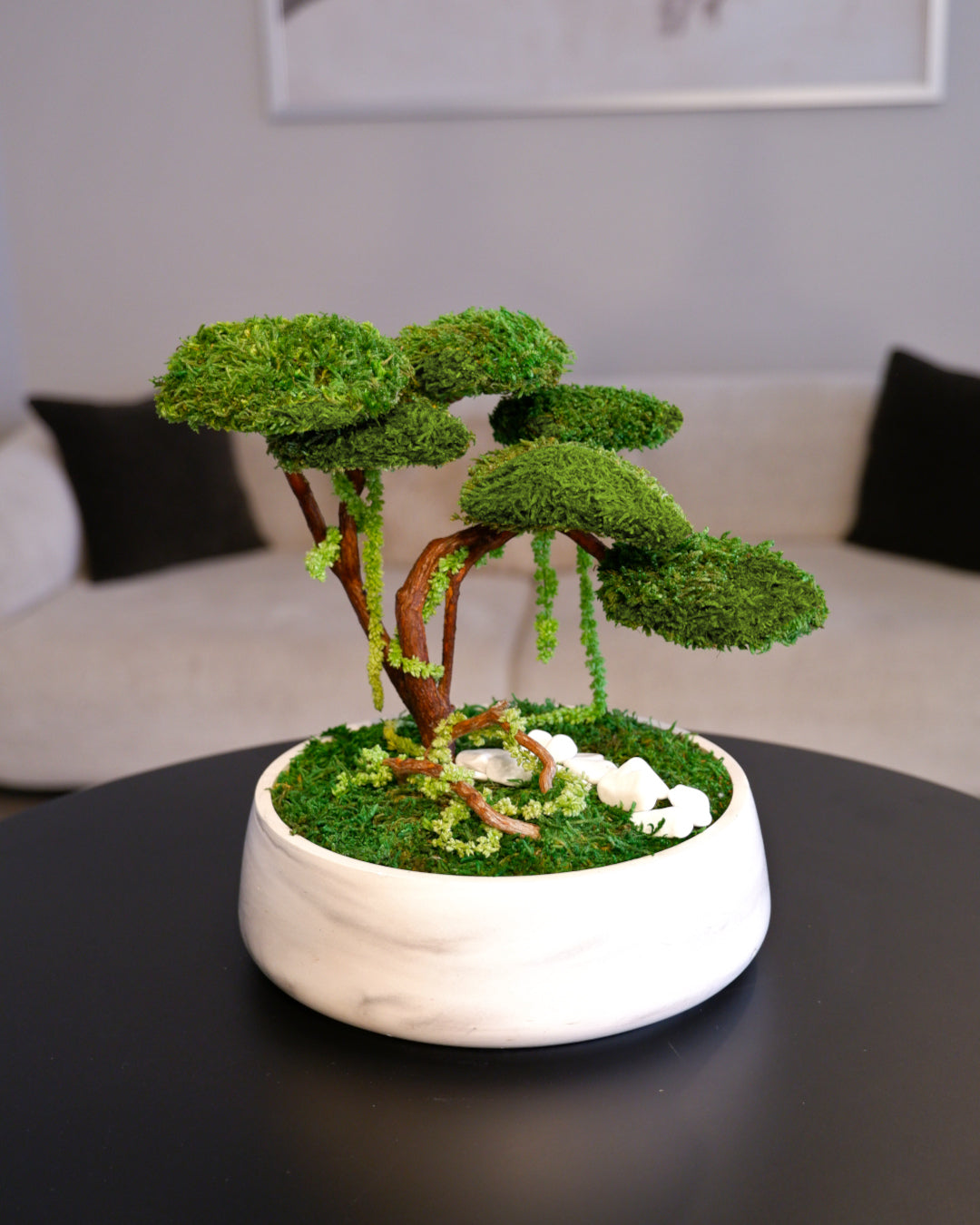 Flat Bonsai