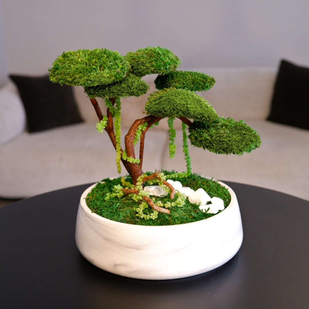 Flat Bonsai