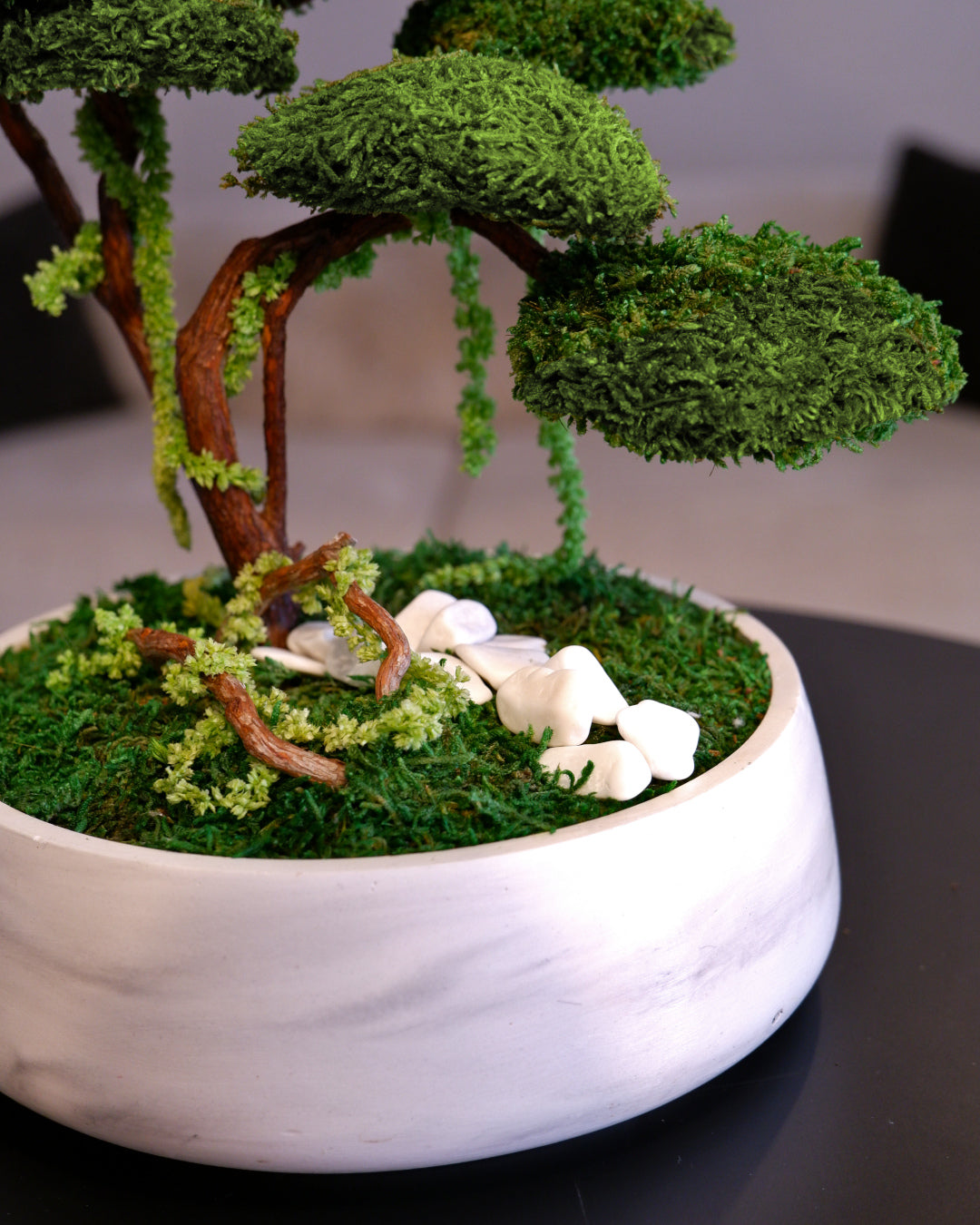 Flat Bonsai