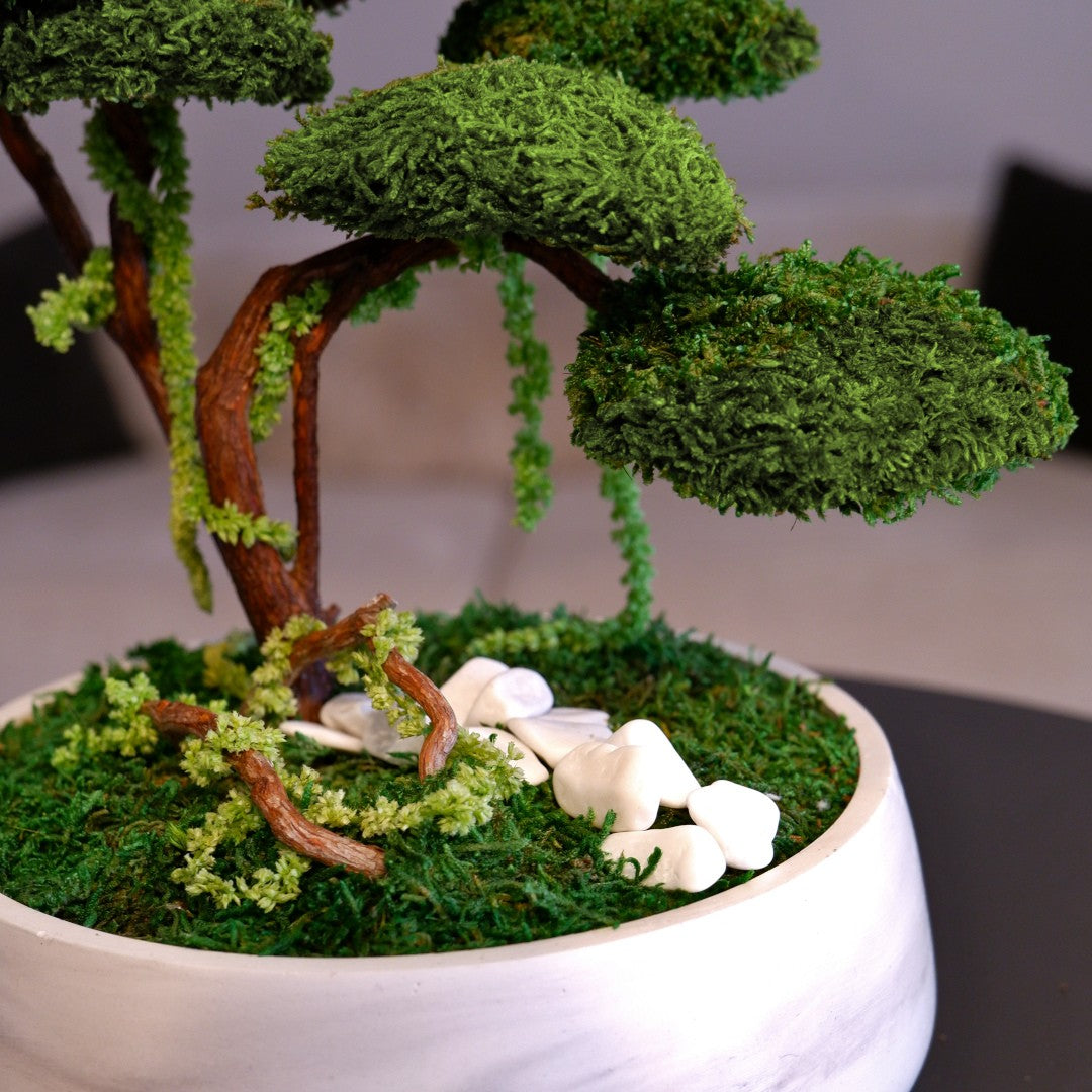 Flat Bonsai