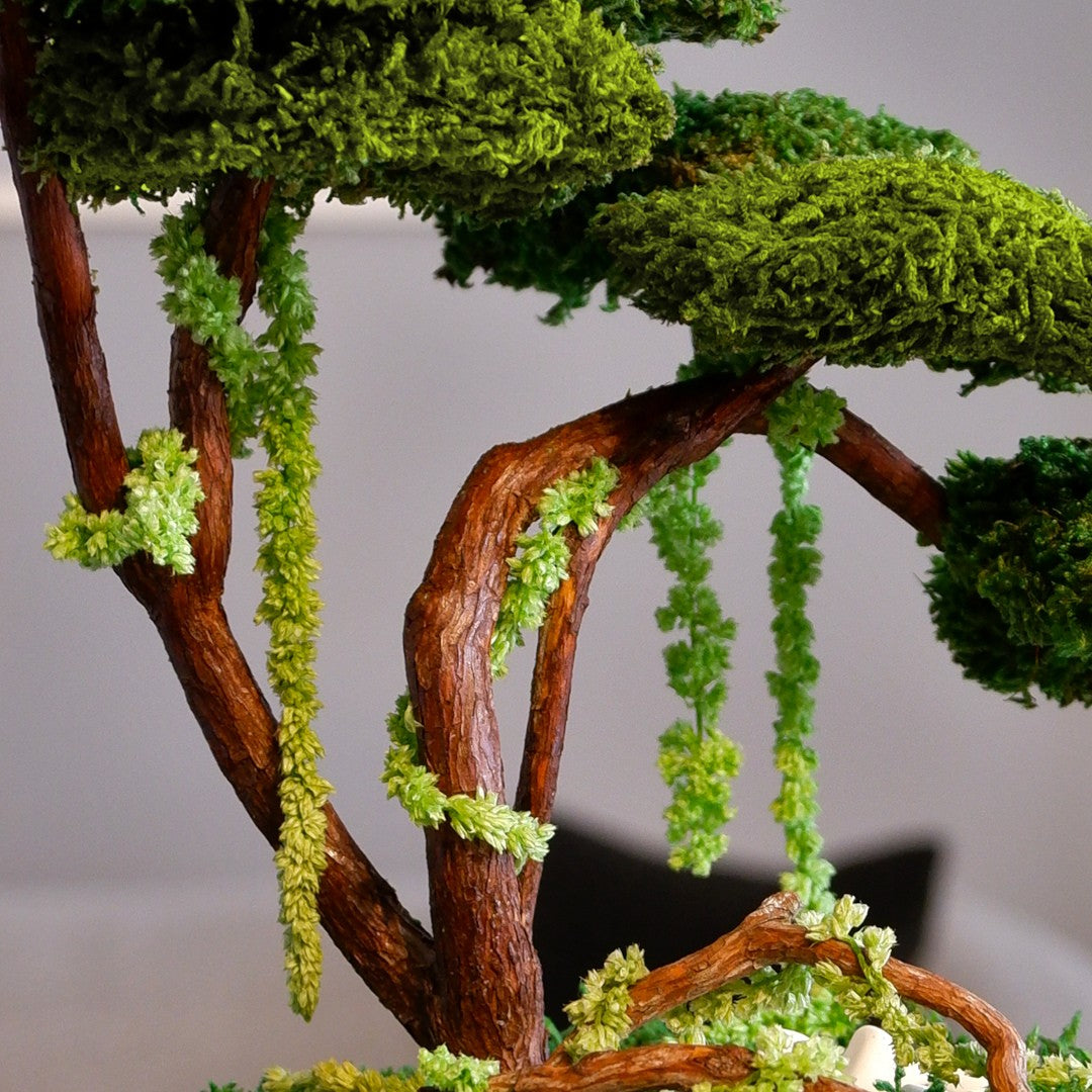Flat Bonsai