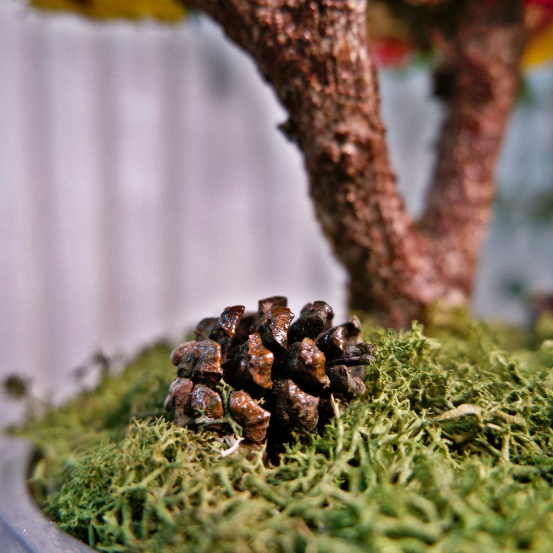 Kolaj Duo Bonsai - Mega