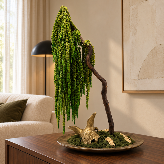 Lorea Bonsai